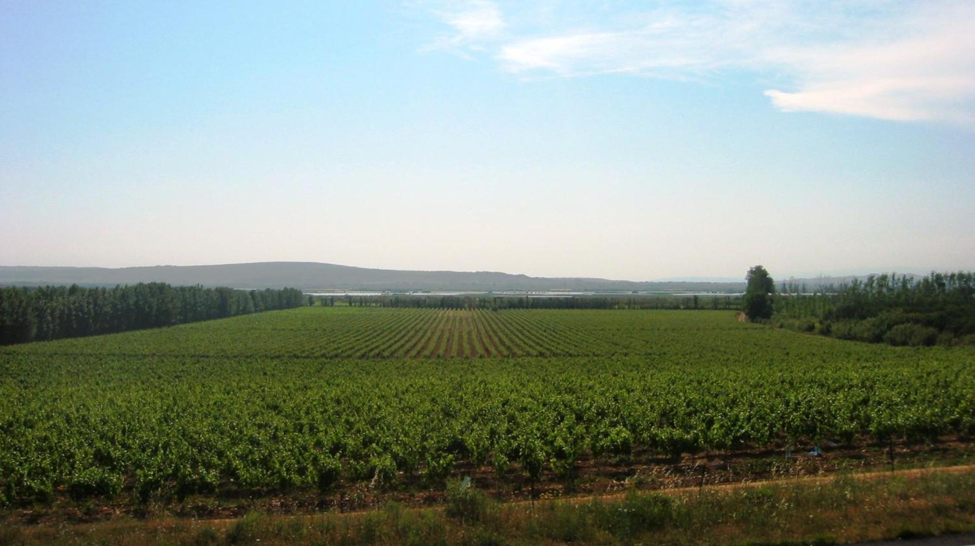 Domaine La Yole Wine Resort Vendres Ngoại thất bức ảnh